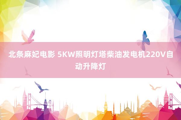 北条麻妃电影 5KW照明灯塔柴油发电机220V自动升降灯