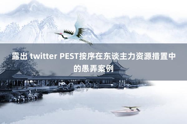 露出 twitter PEST按序在东谈主力资源措置中的愚弄案例