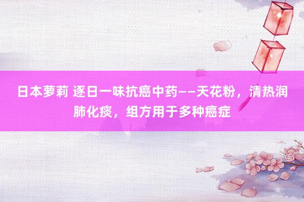 日本萝莉 逐日一味抗癌中药——天花粉，清热润肺化痰，组方用于多种癌症