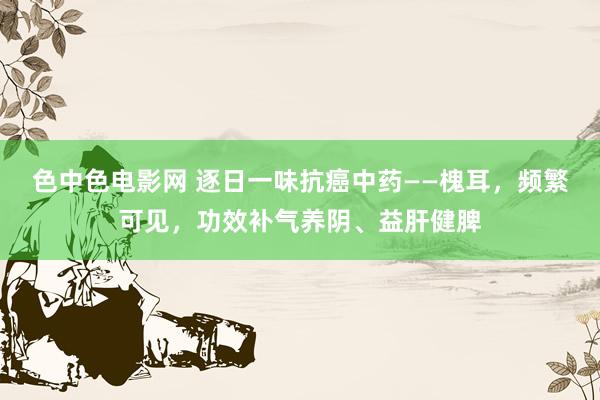 色中色电影网 逐日一味抗癌中药——槐耳，频繁可见，功效补气养阴、益肝健脾