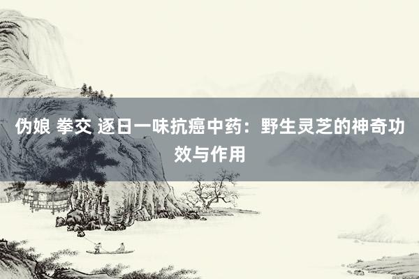 伪娘 拳交 逐日一味抗癌中药：野生灵芝的神奇功效与作用