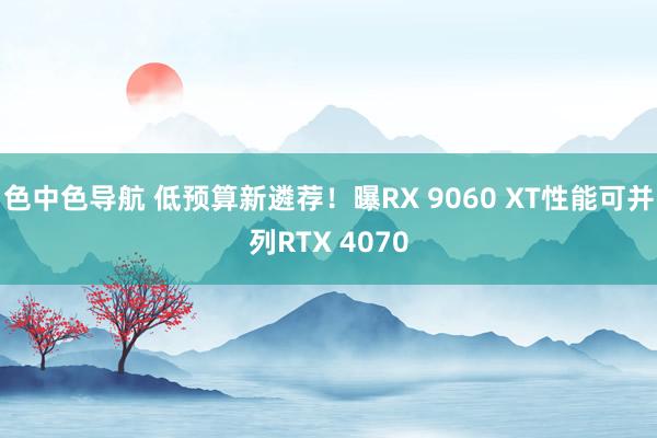 色中色导航 低预算新遴荐！曝RX 9060 XT性能可并列RTX 4070