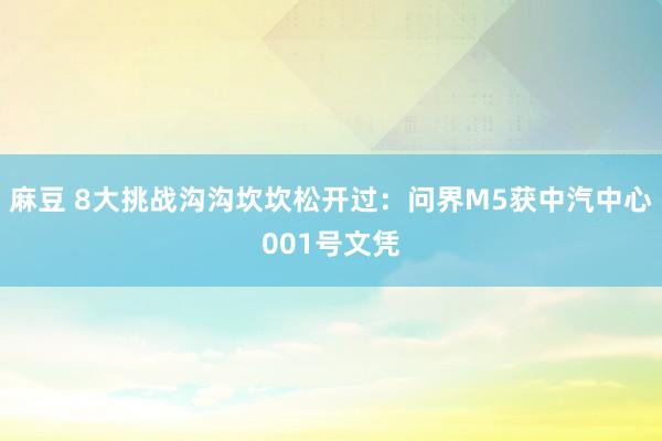 麻豆 8大挑战沟沟坎坎松开过：问界M5获中汽中心001号文凭